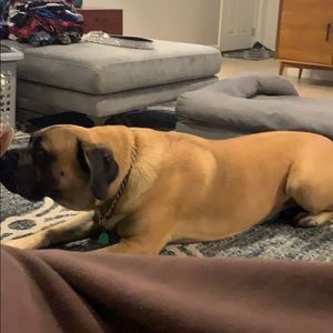 Meet your Posher, Robert